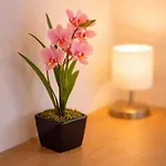 Loft * Μυλούζη