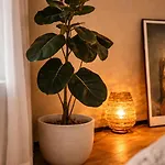 Loft * Μυλούζη