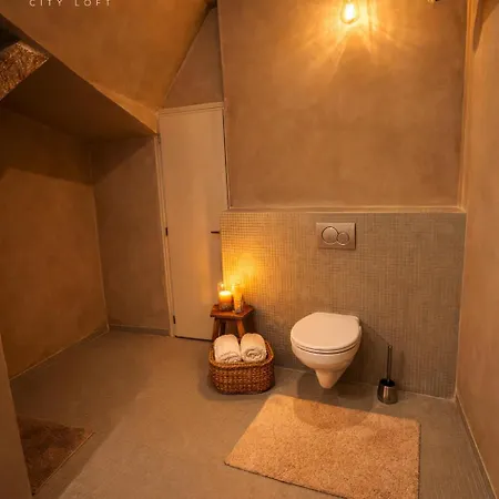 Hotel Loft Mylhúzy